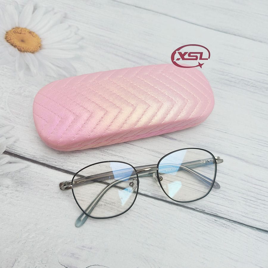 Glasses case