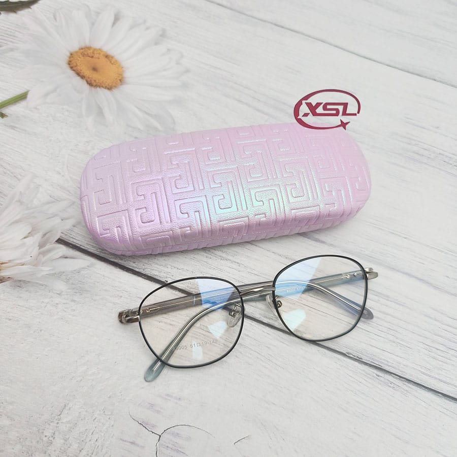 Glasses case