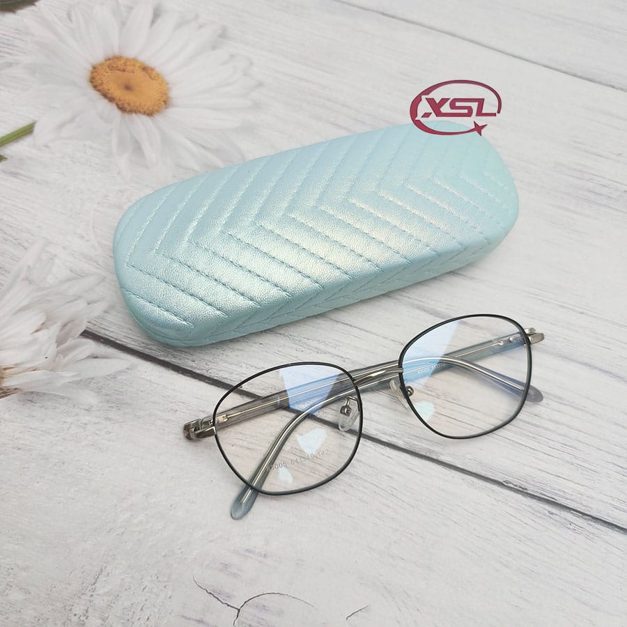 Glasses case