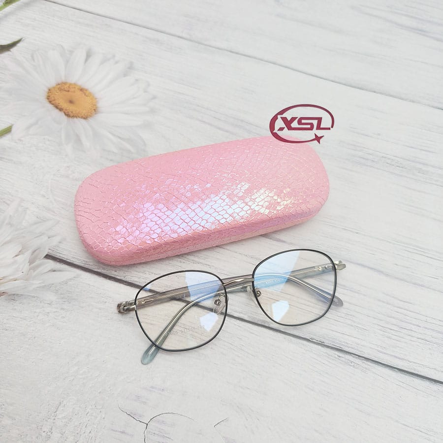 Glasses case