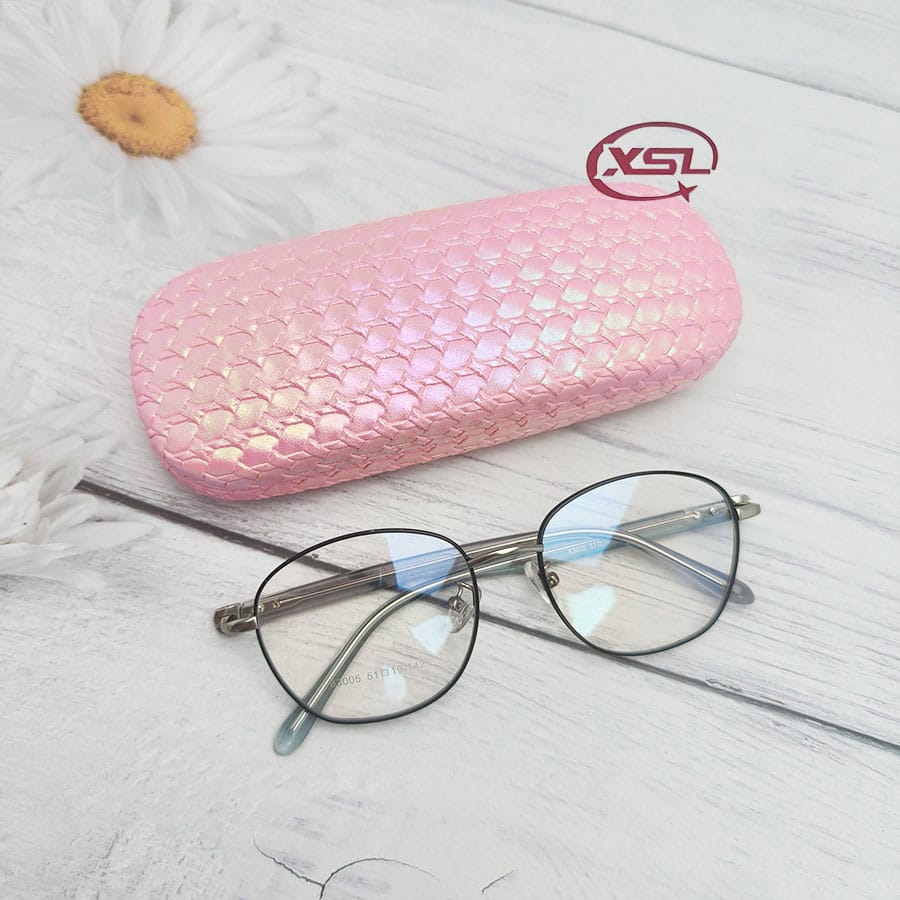 Glasses case
