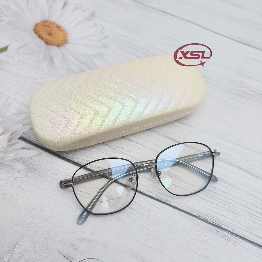 Glasses case