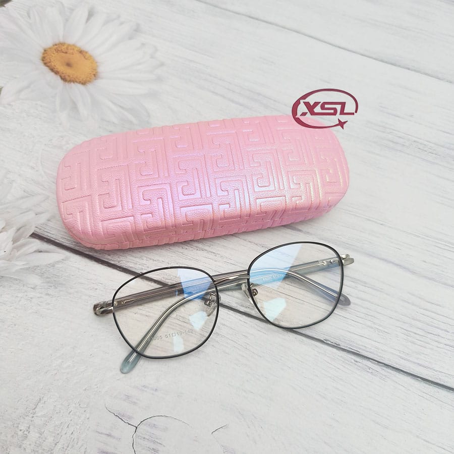 Glasses case