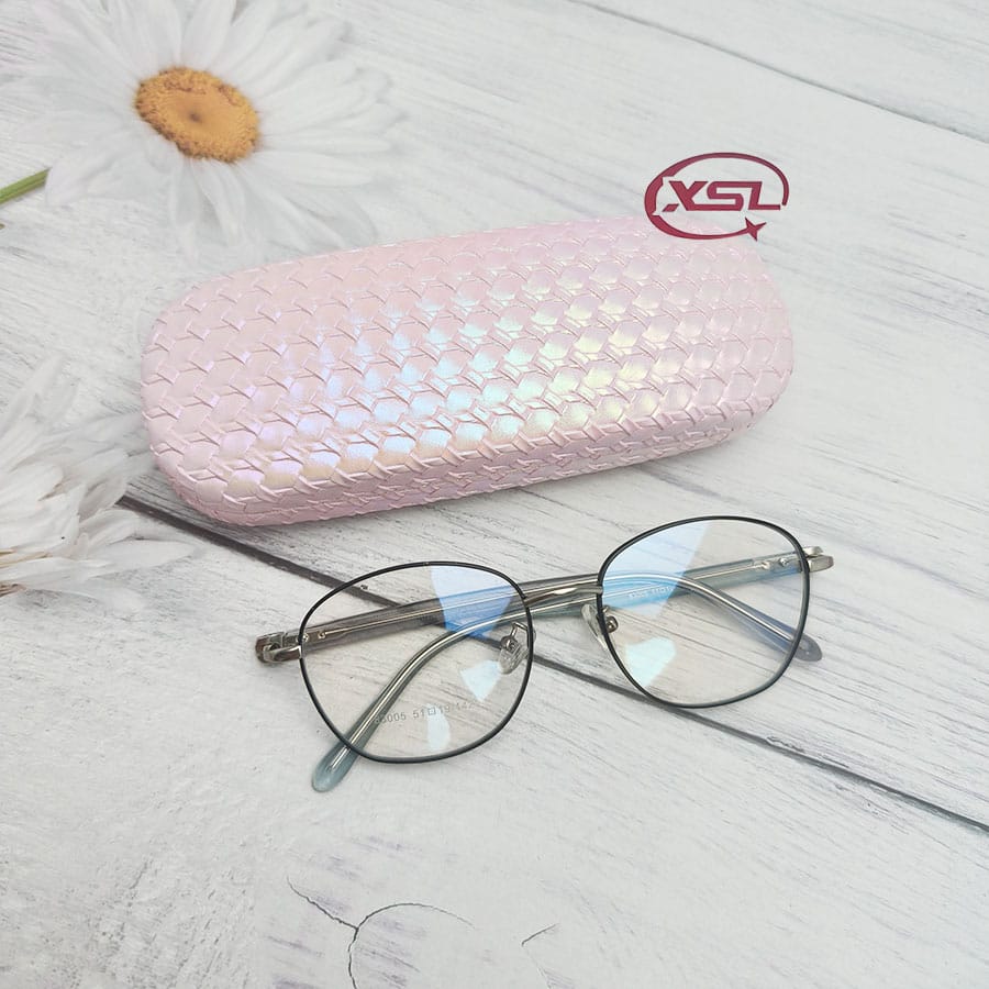 Glasses case
