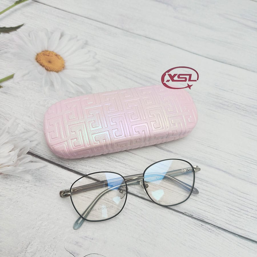 Glasses case