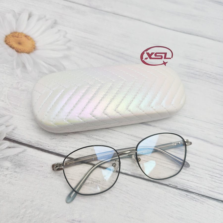 Glasses case