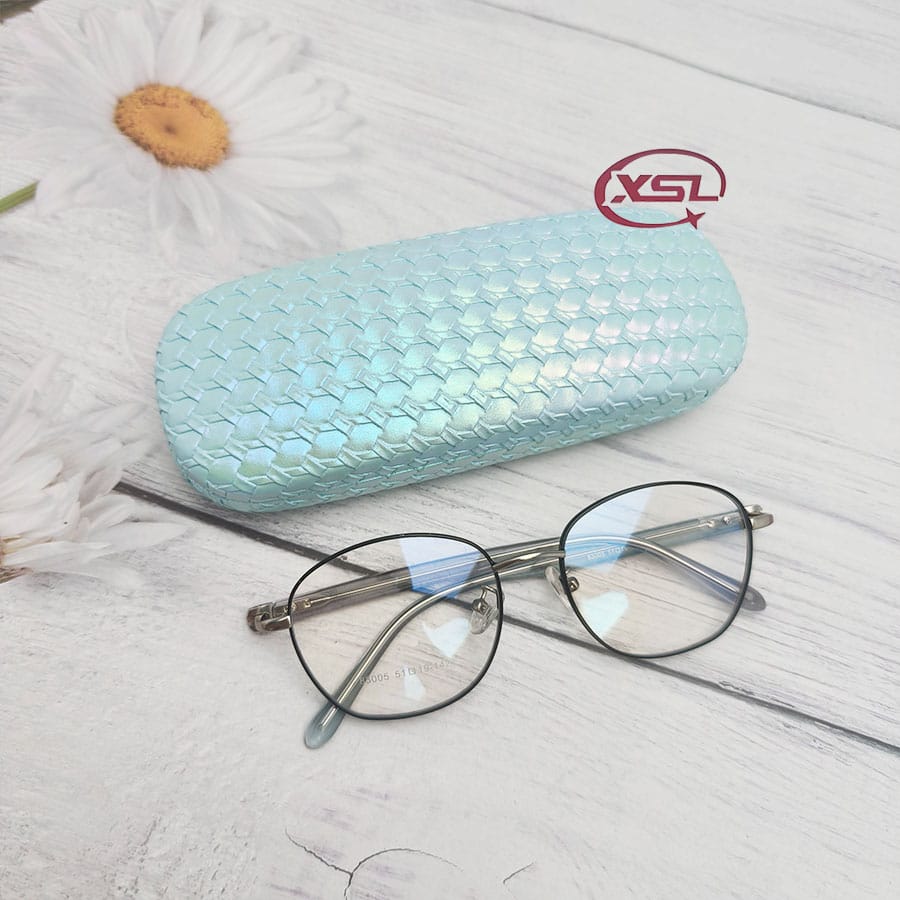 Glasses case