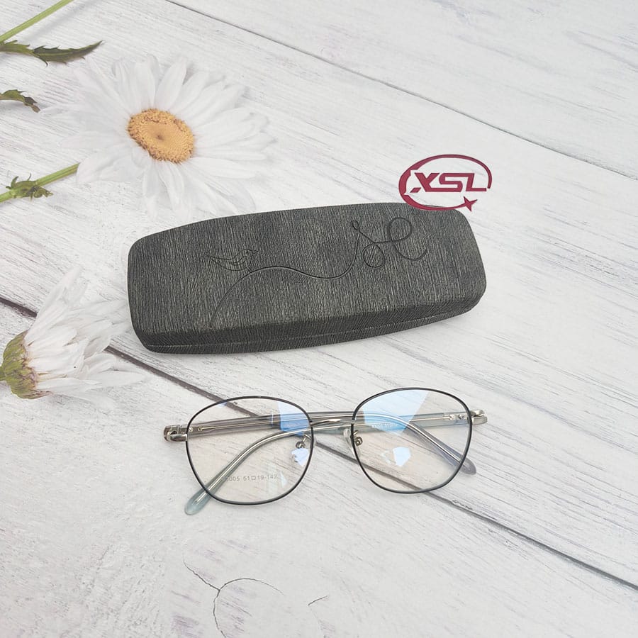 Glasses case