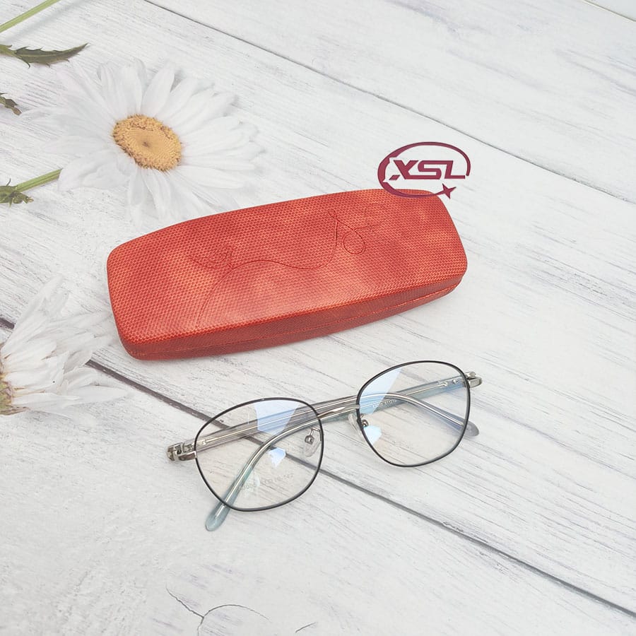 Glasses case