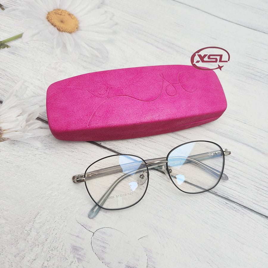 Glasses case