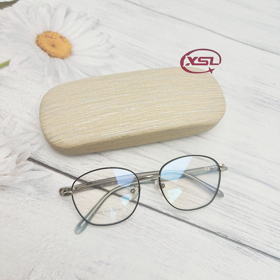 Glasses case
