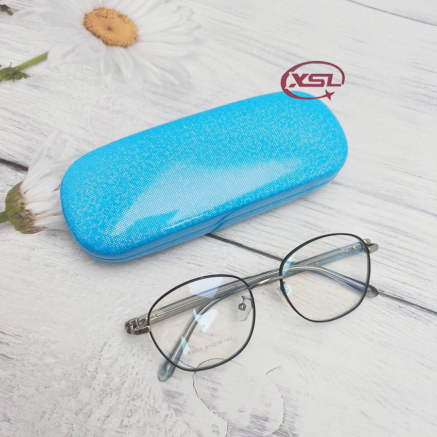 Glasses case