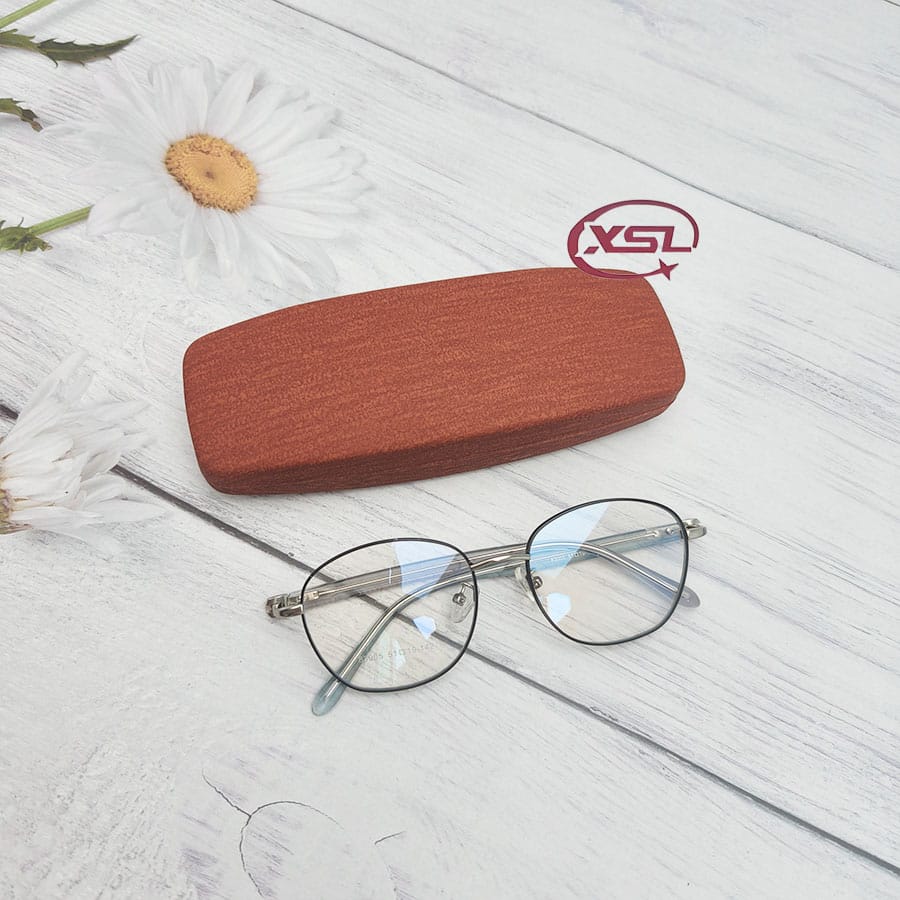 Glasses case