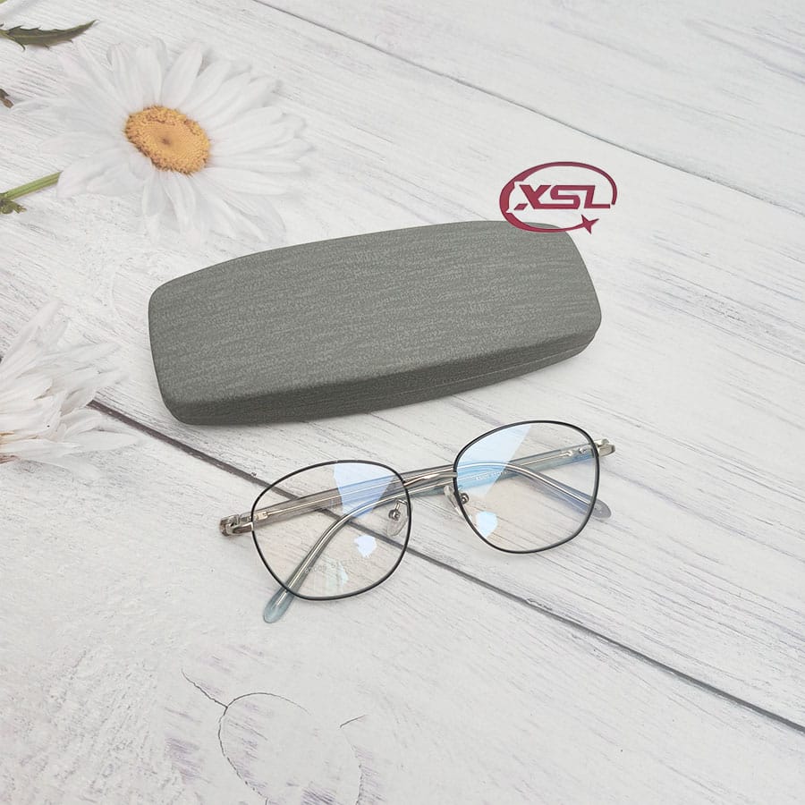 Glasses case