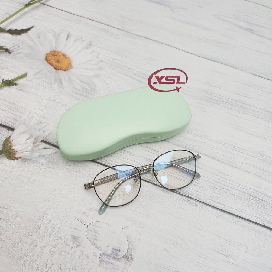 Glasses case