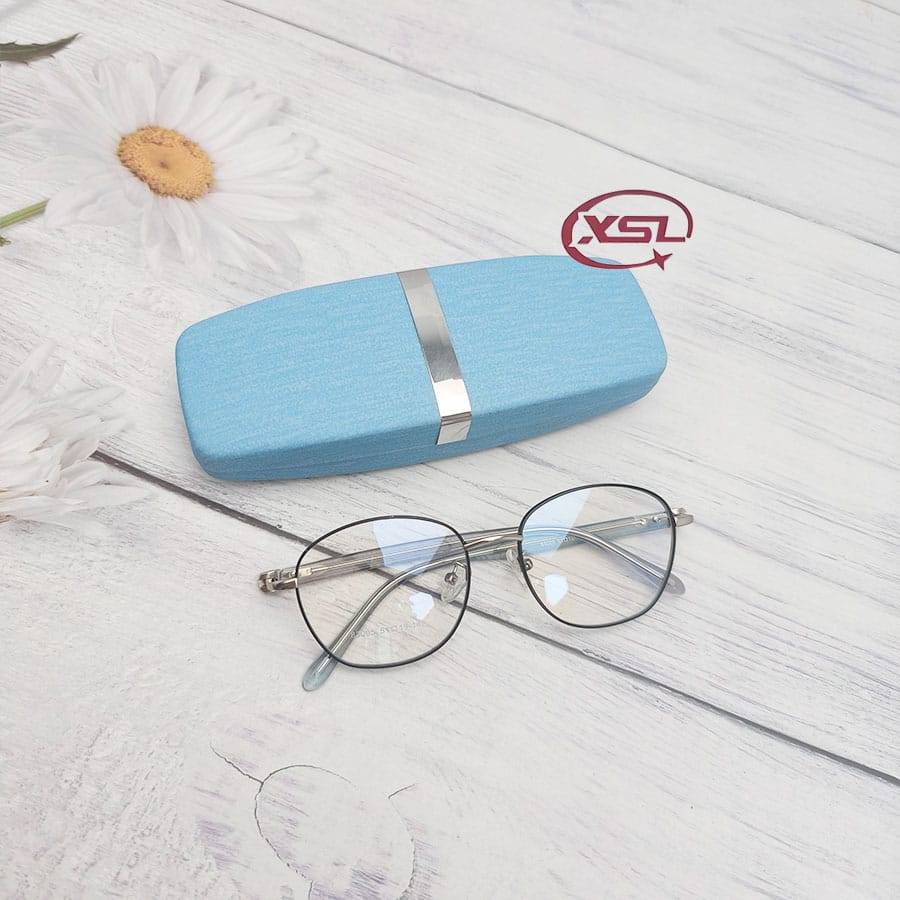 Glasses case
