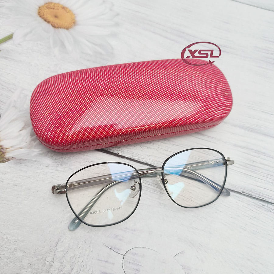 Glasses case