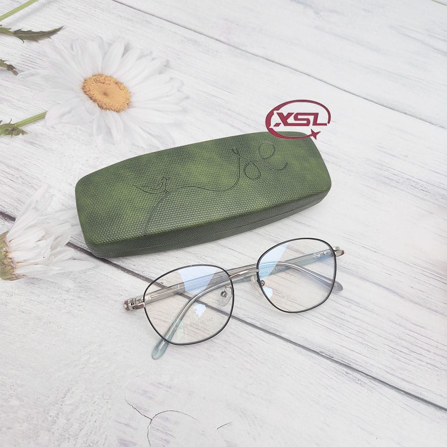 Glasses case
