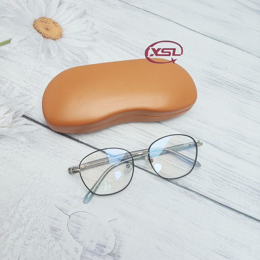 Glasses case