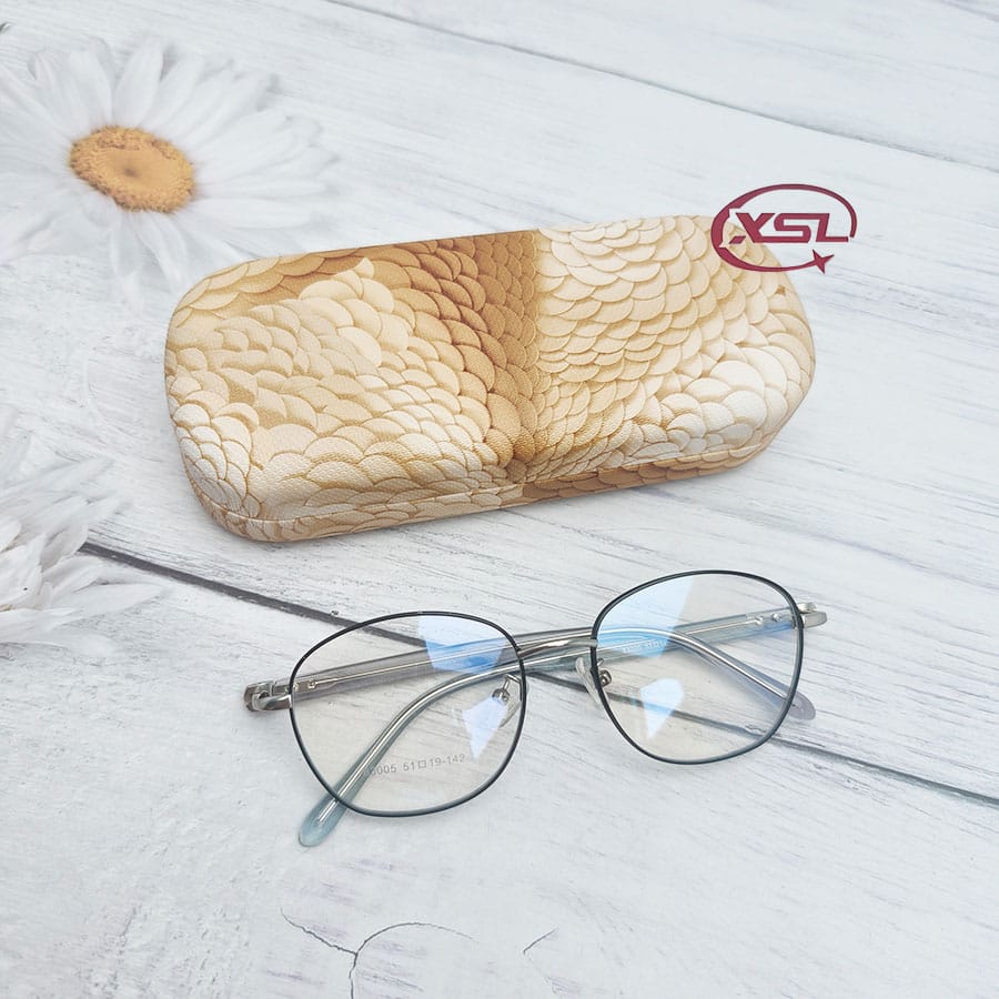 Glasses case