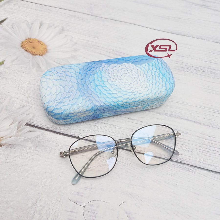 Glasses case