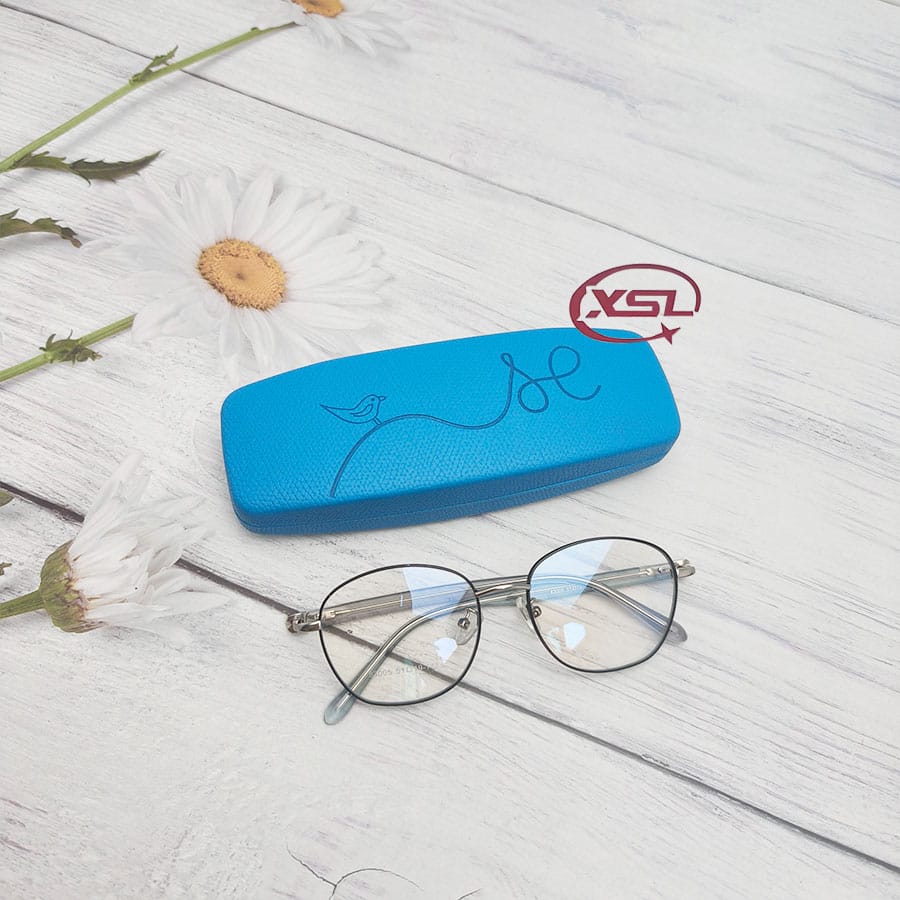 Glasse  case