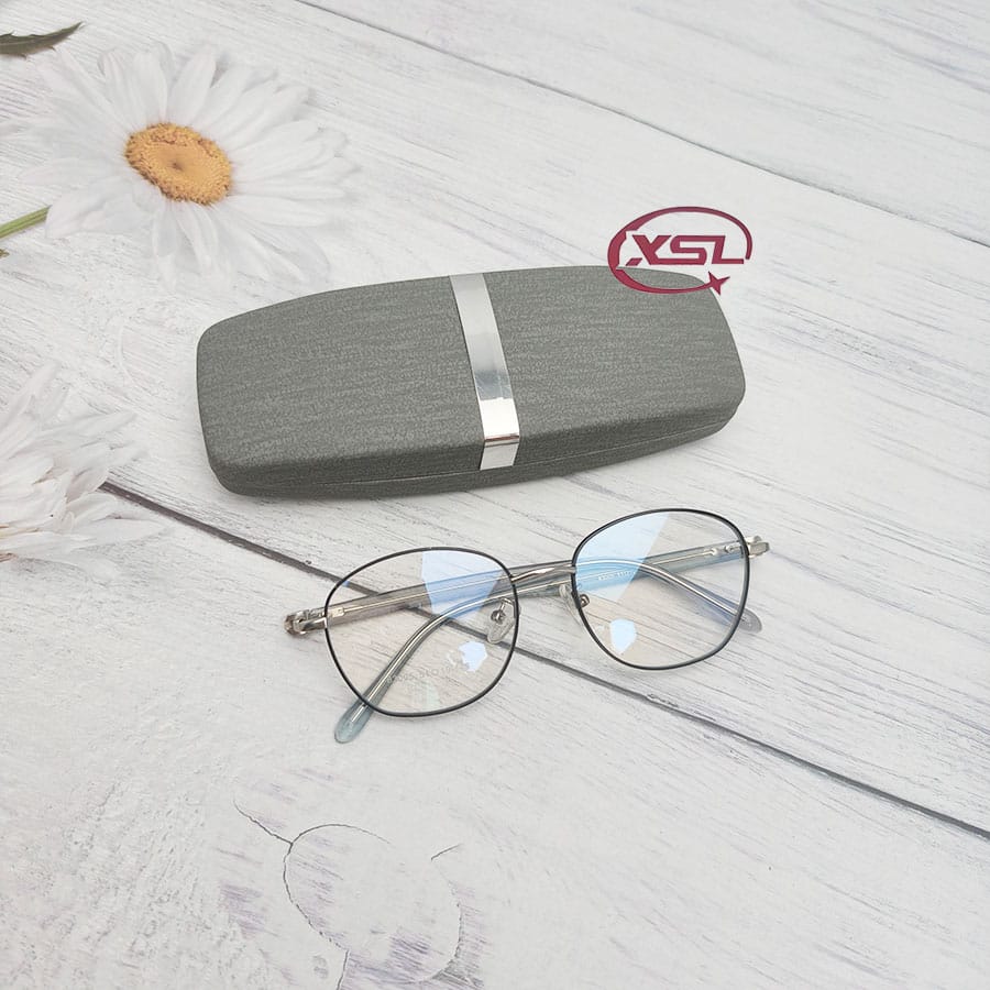 Glasses case