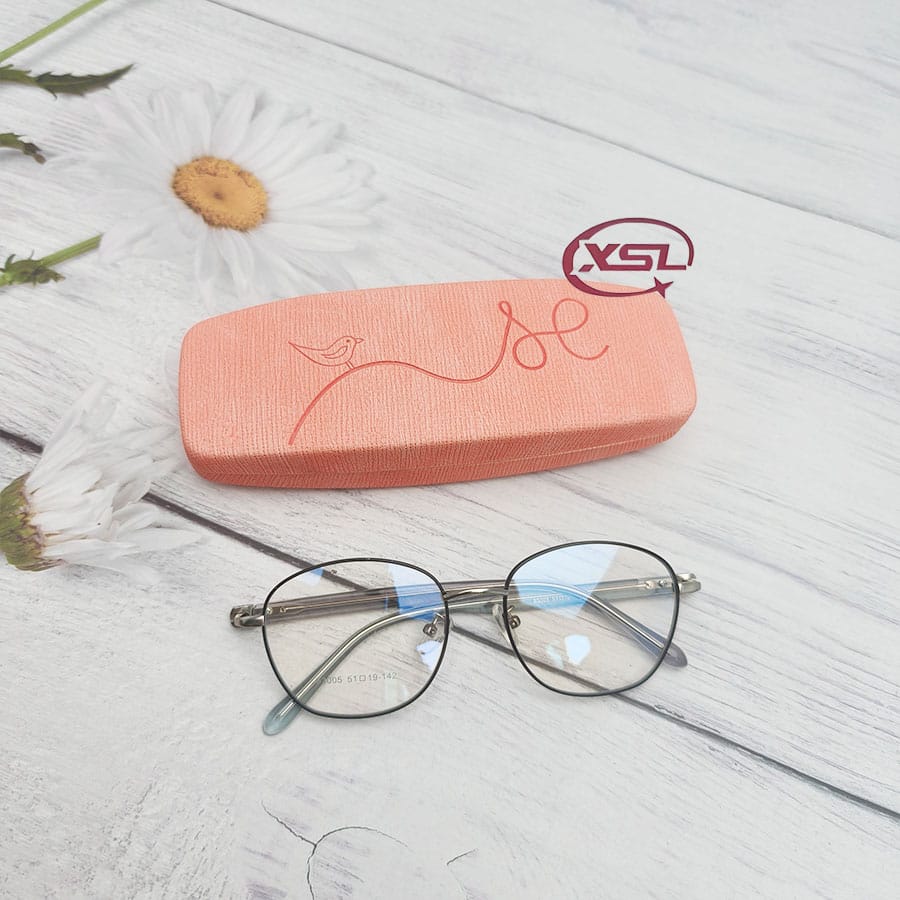 Glasses case