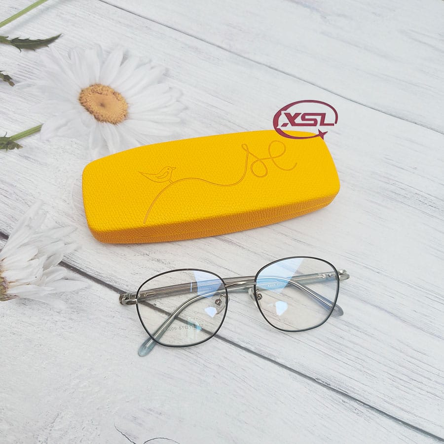 Glasse  case