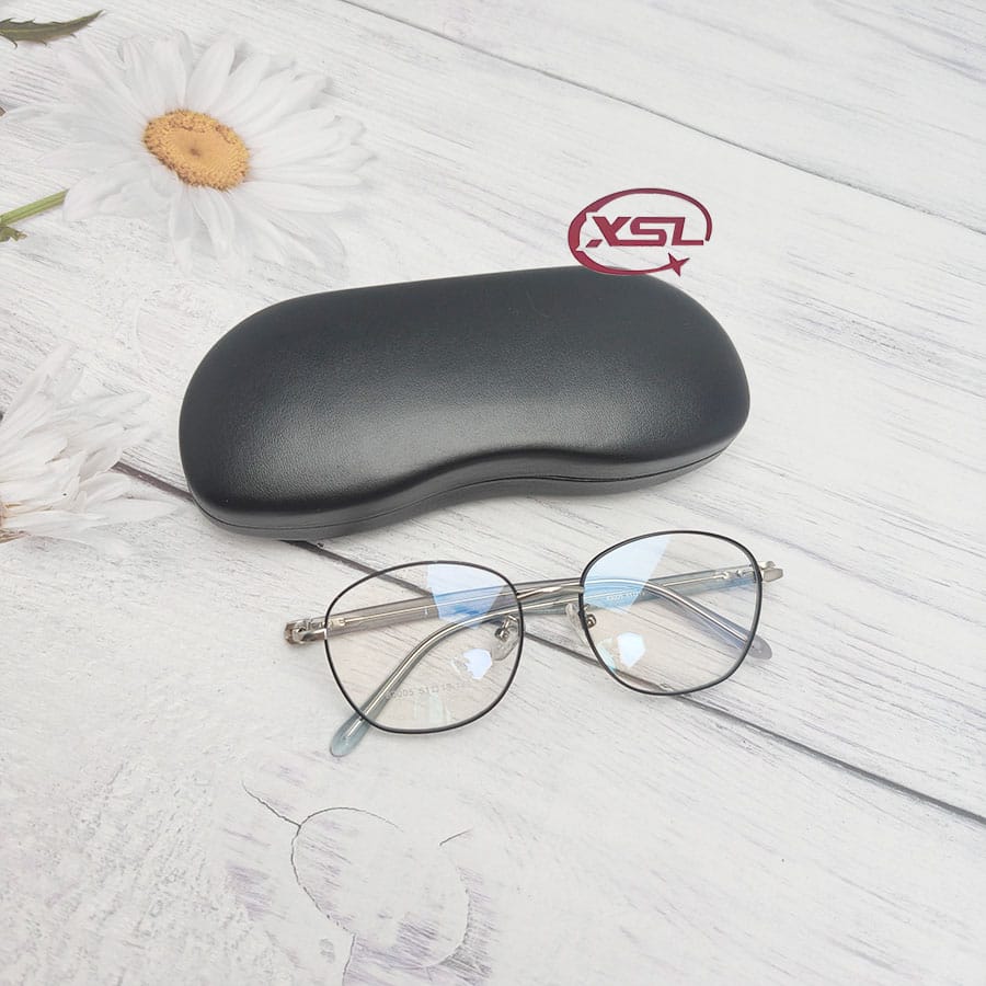 Glasses case