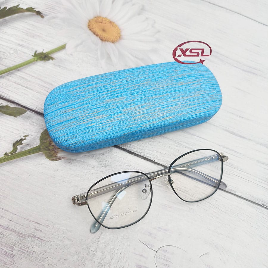 Glasses case