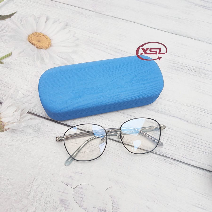 Glasses case