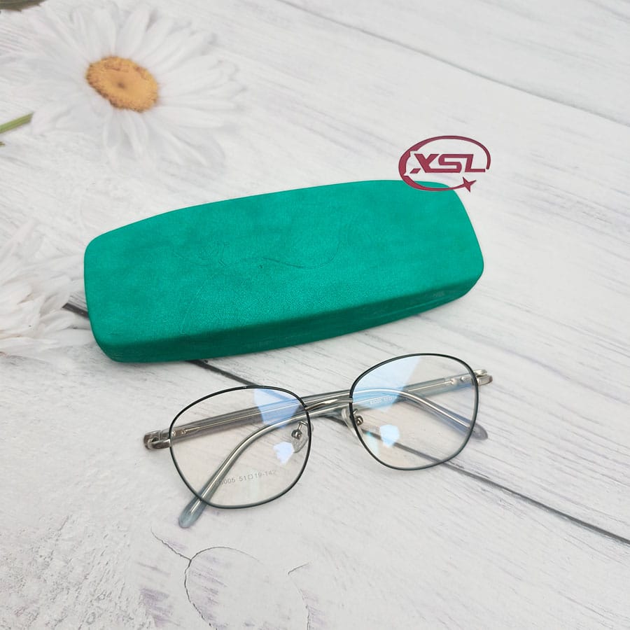 Glasses case