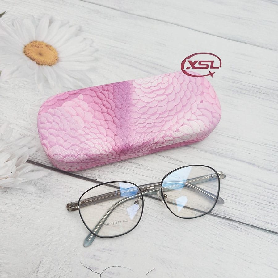 Glasses case