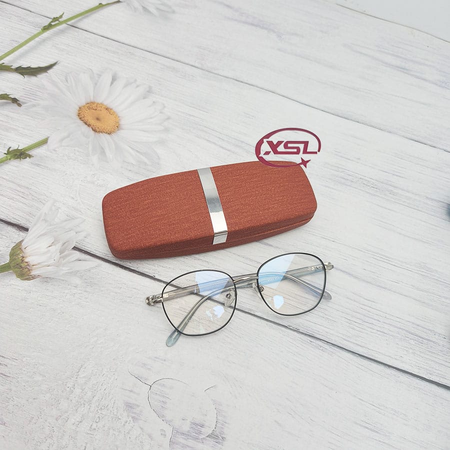 Glasses case