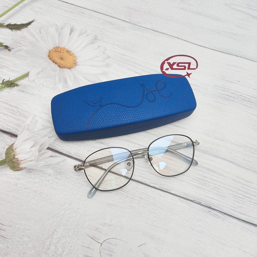 Glasse  case