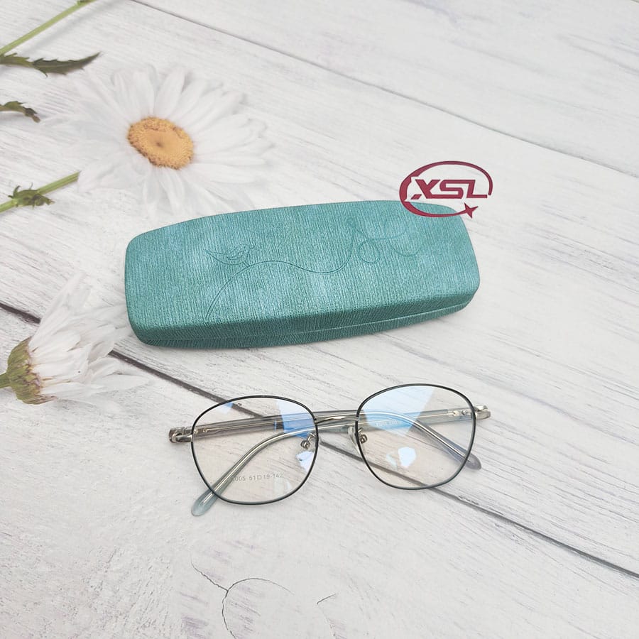 Glasses case