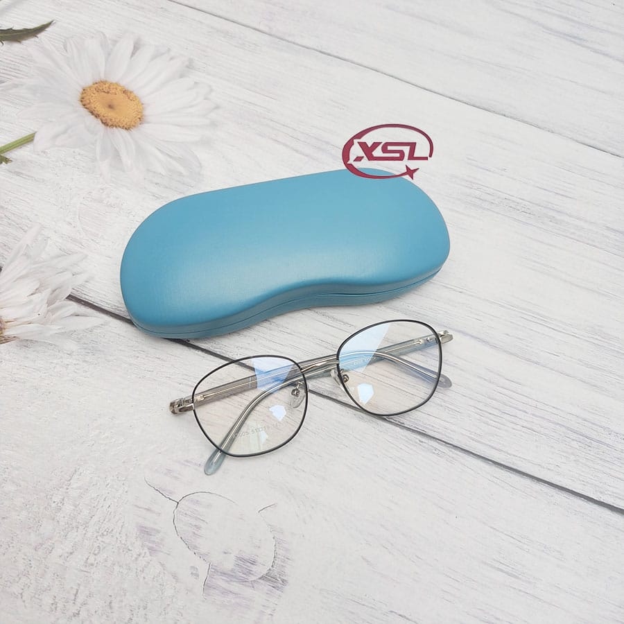 Glasses case