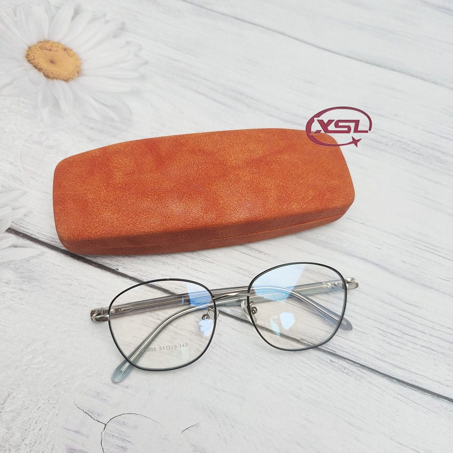 Glasses case