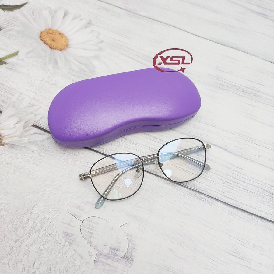 Glasses case