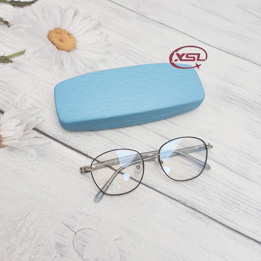 Glasses case