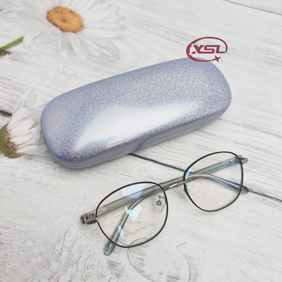Glasses case
