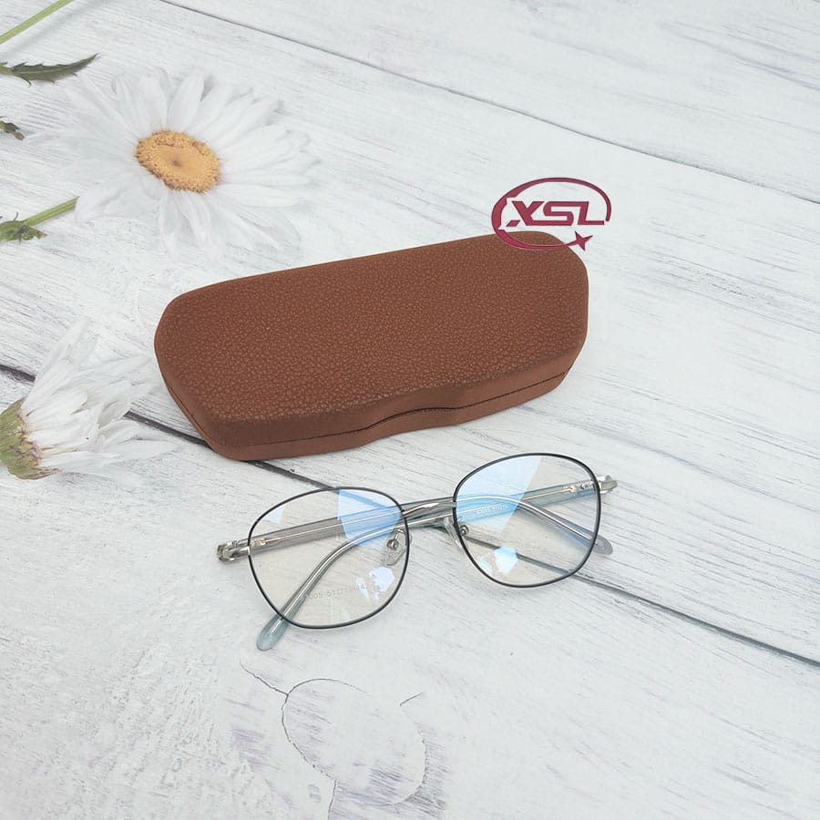 Glasses case