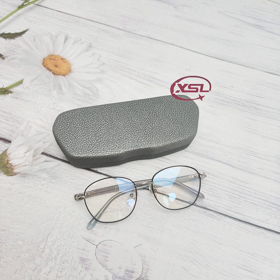 Glasses case