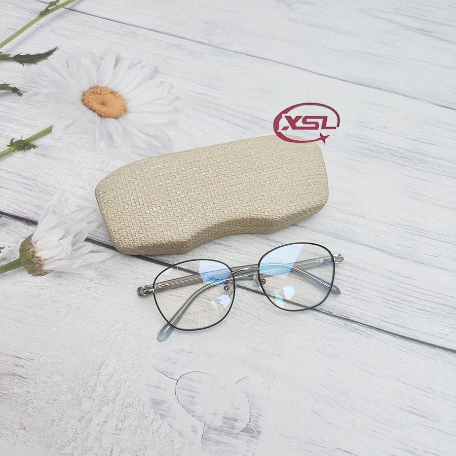 Glasses case