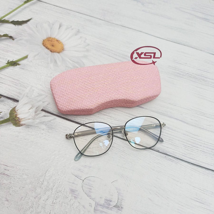 Glasses case
