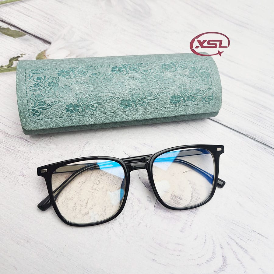 Glasses case