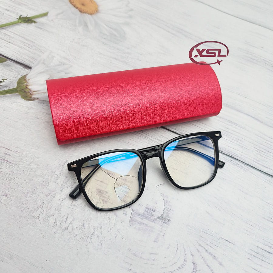 Glasses case
