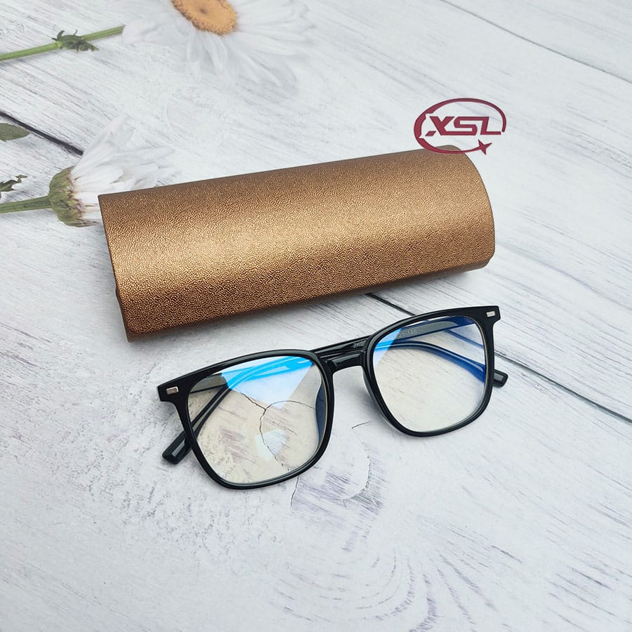 Glasses case