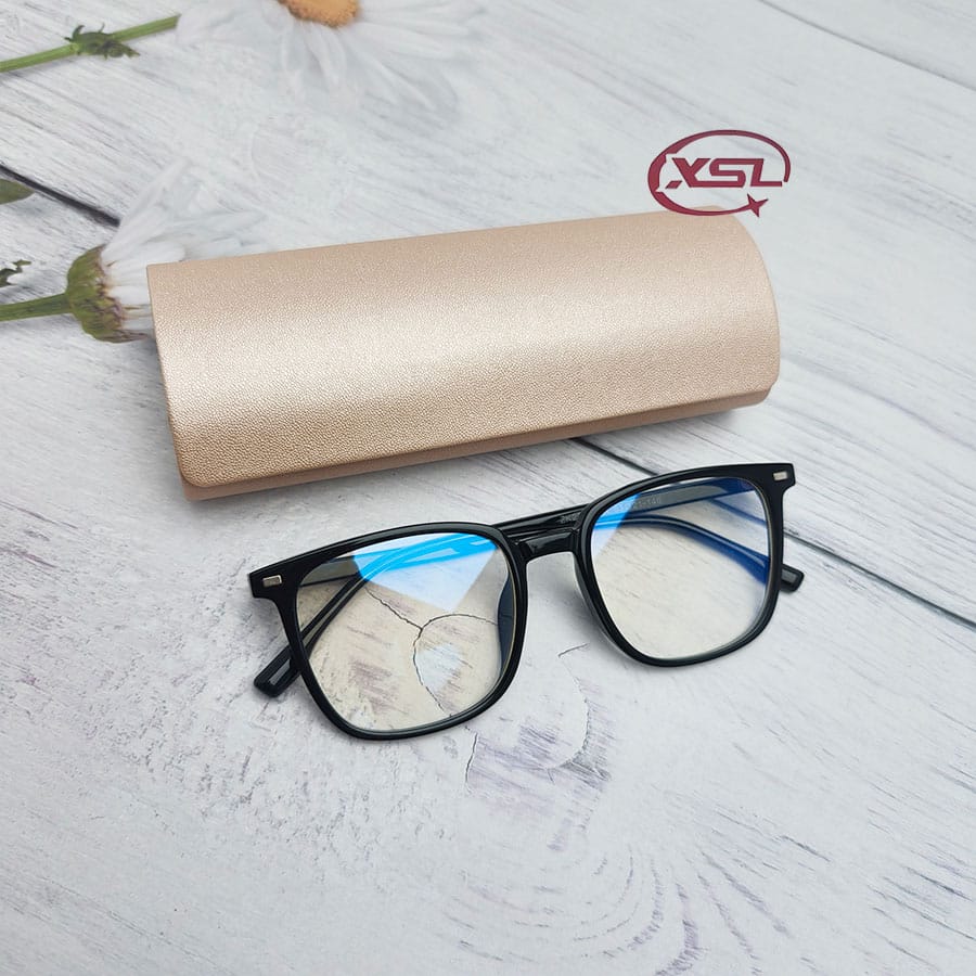 Glasses case
